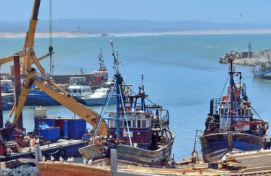 青島貨代公司帶您了解船務(wù)公司的相關(guān)知識