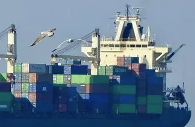 天津貨代公司帶您了解貨代公司的主要業務有哪些？