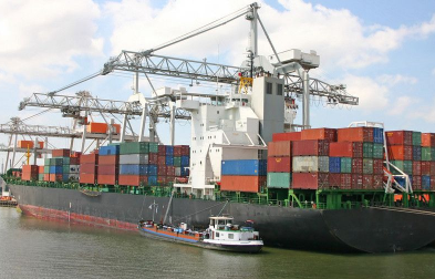 公認進口報關代理公司會采取哪些措施來確保報關服務的專業性？